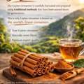 SAR 1,  Ceylon Cinnamon From Sri Lanka