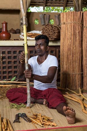 Khobar, Food, SAR 1,  Ceylon Cinnamon From Sri Lanka