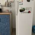 SAR 500,  Fridge & Household Items