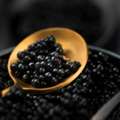 Buy The Best Caviar In Dubai | WNF Caviar Heritage