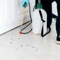 Expert Cockroach Pest Control Services Ahmedabad | 100% Effective