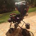 SAR 80,  Baby Stroller