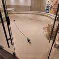 Vinyl Flooring