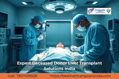New Delhi, Medical, Top Deceased Donor Liver Transplant Care In India