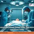 Top Deceased Donor Liver Transplant Care In India