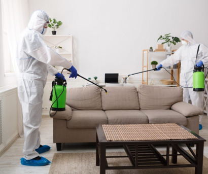 New York, Business, Pest Guard Pro