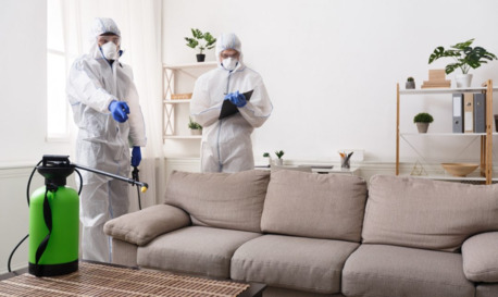New York, Business, Pest Guard Pro