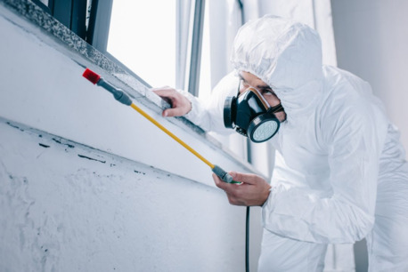 New York, Business, Pest Guard Pro