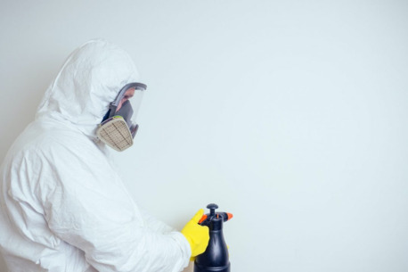 New York, Business, Pest Guard Pro