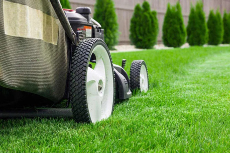 Brisbane, Farm/Garden, Lawn Mowing Brisbane