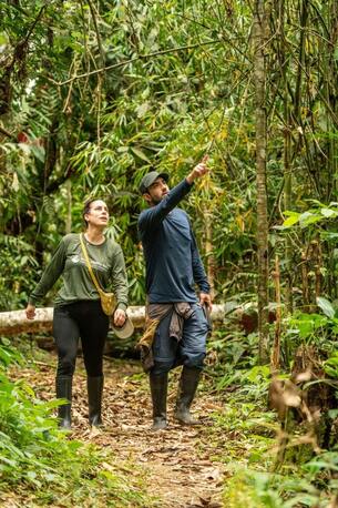 Toronto, Travel, Book Tambopata Wildlife Spotting Tours & Jungle Packages