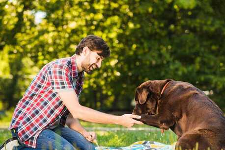 Nagpur, Pet Sitting, Dog Trainer In Nagpur