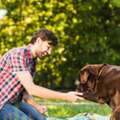 Dog Trainer In Nagpur