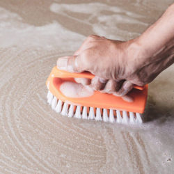 New York, Construction, Professional Carpet Cleaning DC Services Deep Clean Experts