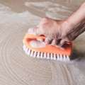 Professional Carpet Cleaning DC Services Deep Clean Experts
