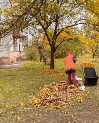 Austin, Business, Spring And Fall Clean Up Near Me