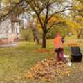 Spring And Fall Clean Up Near Me