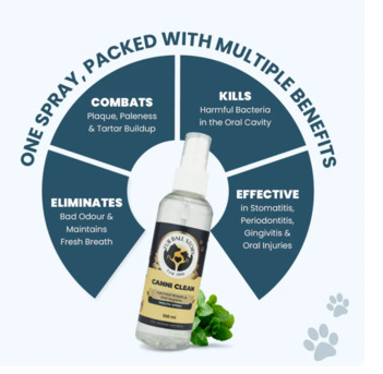 Gurgaon, Pet Sitting, Love The Kisses&hellip; Hate The Breath?