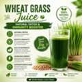 INR 560,  Why Wheatgrass Juice Is The Best Natural Detox & Immunity Booster