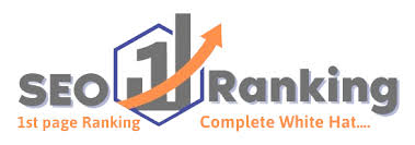 Lucknow, Marketing, Expert On-Page SEO Services For Higher Rankings