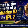 AFN 222,  How Mahadev Book Enhances IPL Experience