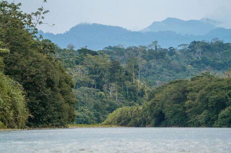 Toronto, Travel, Amazon Rainforest & Machu Picchu Tours &ndash; Peru Adventure