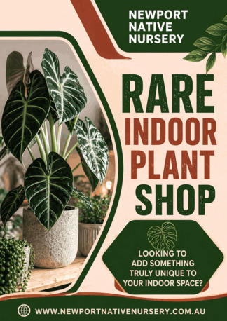 Melbourne, Farm & Garden, AUD 25,  Rare Indoor Plant Shop - Newport Native Nursery