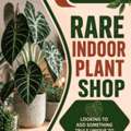 AUD 25,  Rare Indoor Plant Shop - Newport Native Nursery