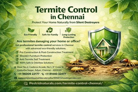 Chennai, Pest Control, Termite Control Chennai | Pest Rid Naturals