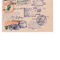 Sudanese Accountant Studied In India With 16 Years Experience