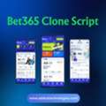 AED 5000,  Start A Profitable Sports Betting Business Like Bet365
