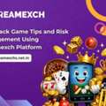 Blackjack Game Tips And Risk Management Using Dreamexch Platform