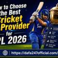AFN 11,  Staying Updated With IPL Matches