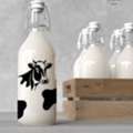 Milk Glass Bottles In Bulk &ndash; Chaudhary Glasspack India