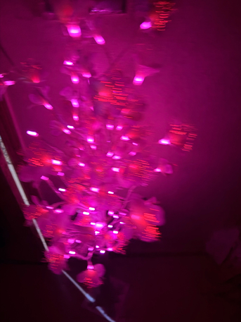 Jeddah, Household Items, SAR 40,  Decorative Bedlight - Flower