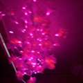 SAR 40,  Decorative Bedlight - Flower