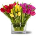 Florist Washington DC Services By My Florist & Flower Delivery