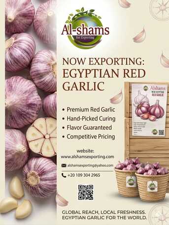 Milan, Farm & Garden, Fresh Garlic