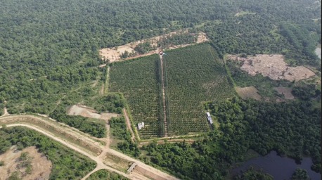 Nagpur, Education, Investment Opportunities In Agricultural Land In Nagpur