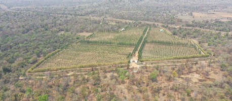 Nagpur, Education, Investment Opportunities In Agricultural Land In Nagpur