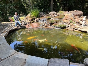 New York, Farm/Garden, Hire An Experienced Koi Pond Builder Oklahoma For A Sleek And Modern Design