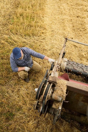 London, Business, Agricultural Machinery Manufacturer In The UK - LK Agro Engg Works