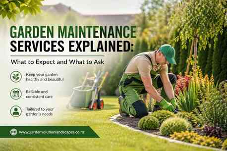 Auckland, Farm/Garden, Garden Maintenance Services Explained: What To Expect And What To Ask