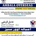 مكتب استقدام باكستان للعمال