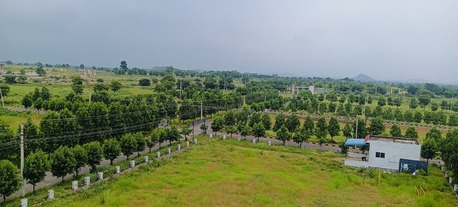 Mumbai, Residential Plots, INR 12500,  188 Sq. Yard,  Pharma Green City &ndash; DTCP & RERA Approved Open Plots