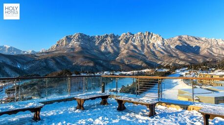 Mumbai, Travel, Best Budget Hotels In Kasol For Your Travel: Holy Hotel