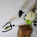 SAR 100,  Excercize Cycle Sale In Hara