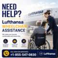 Need Help? Lufthansa Wheelchair Assistance | Call +1-855-547-0830