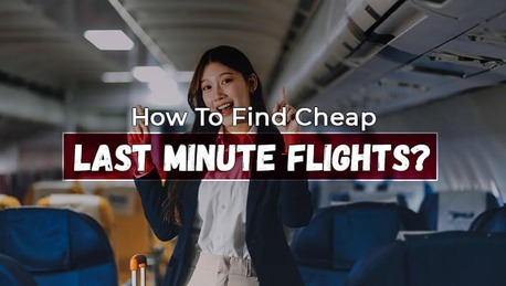 New York, Travel, A Detailed Guide On How To Choose The Best Airline For Travel