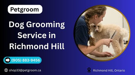 Toronto, Beautician, Dog Grooming Service In Richmond Hill | Trusted Care By Petgroom